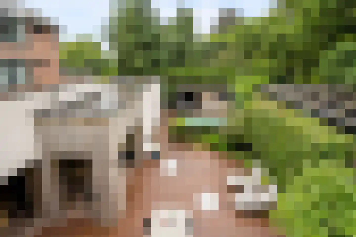 Grotestraat 95 Eibergen thumbnail 69