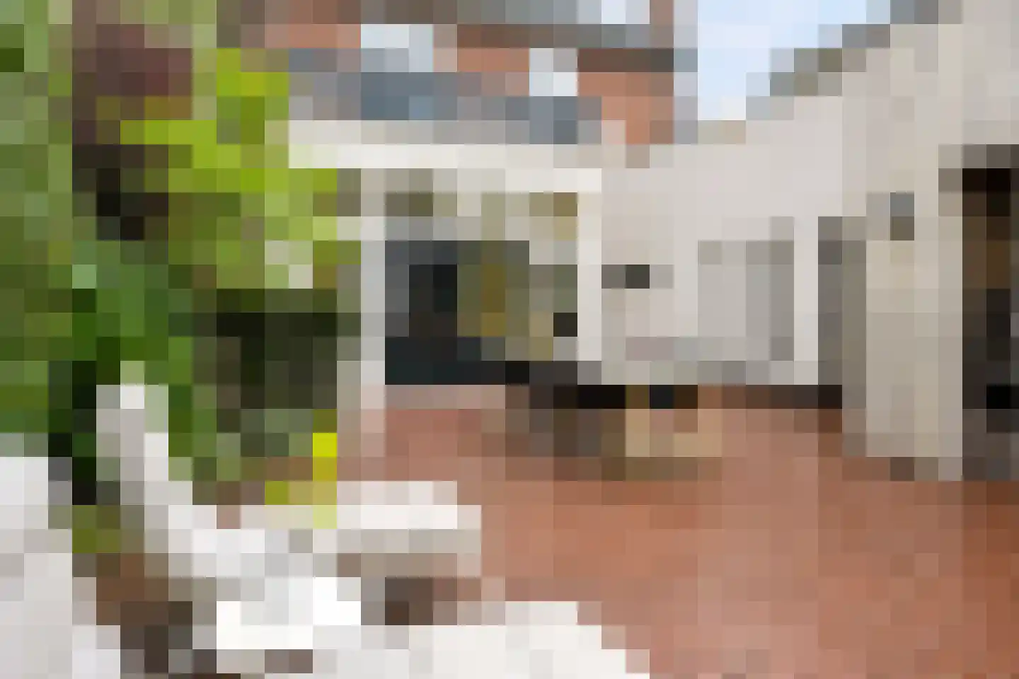 Grotestraat 95 Eibergen thumbnail 80