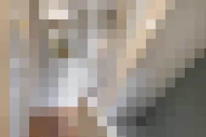 Grotestraat 97 Eibergen thumbnail 23