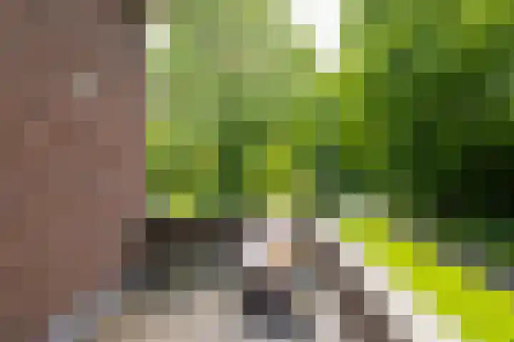 Grotestraat 97 Eibergen thumbnail 28