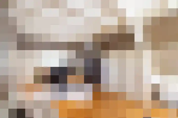 Grotestraat 97 Eibergen thumbnail 37