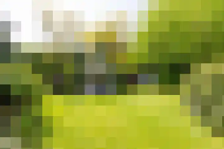 Grotestraat 97 Eibergen thumbnail 40