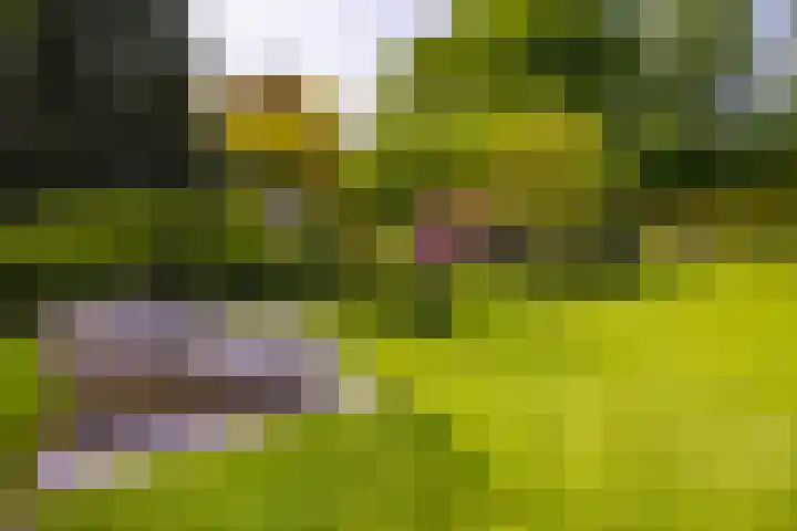 Grotestraat 97 Eibergen thumbnail 43