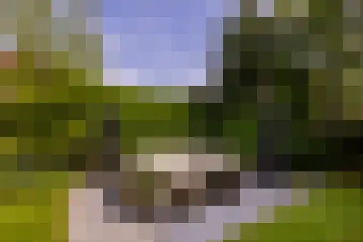 Grotestraat 97 Eibergen thumbnail 44
