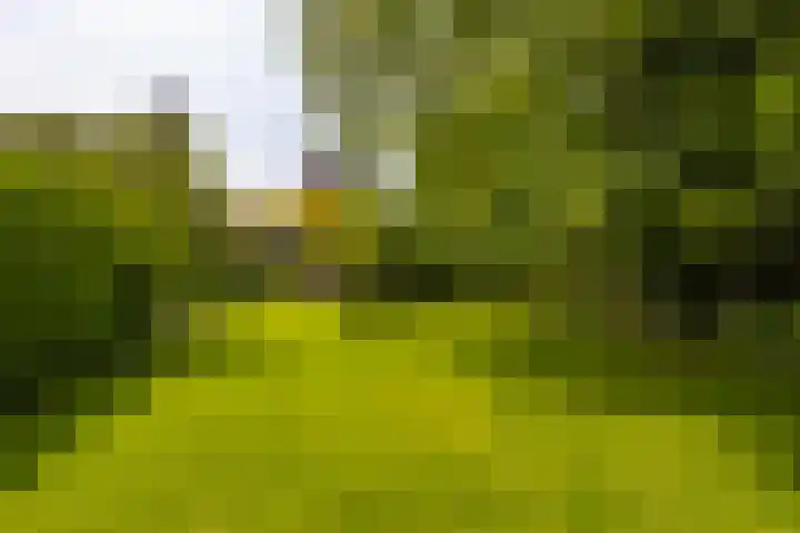 Grotestraat 97 Eibergen thumbnail 45