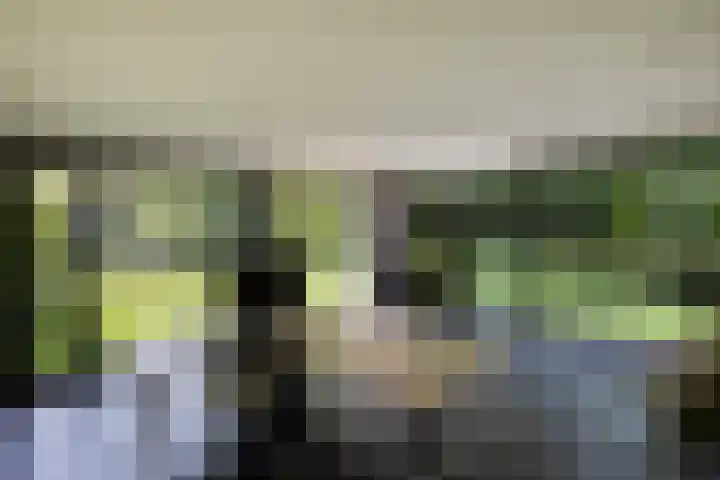 Grotestraat 97 Eibergen thumbnail 7