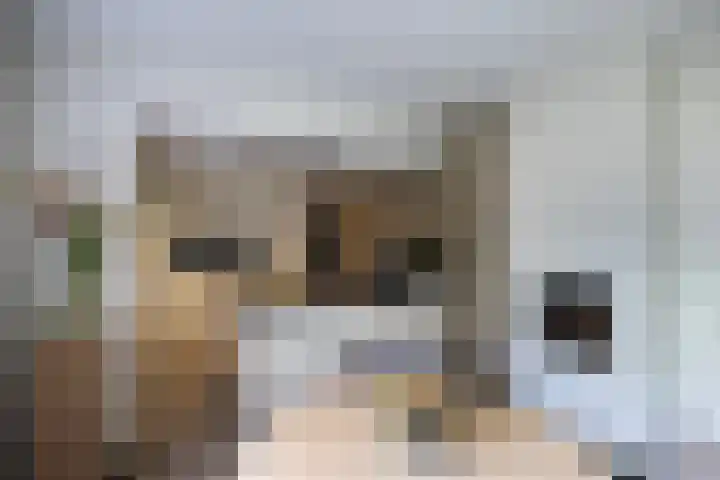 Grotestraat 97 Eibergen thumbnail 8