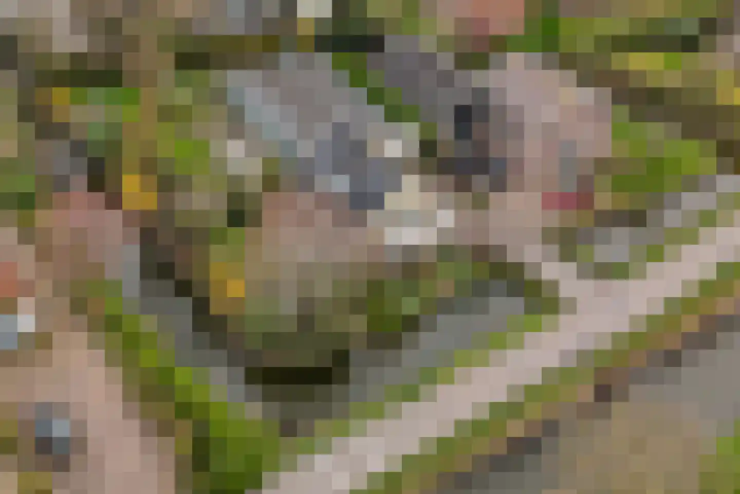 Grotewallerweg 22 Schagen thumbnail 38