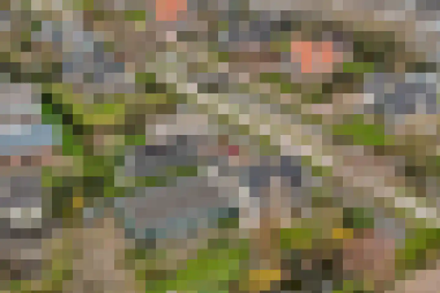 Grotewallerweg 22 Schagen thumbnail 39