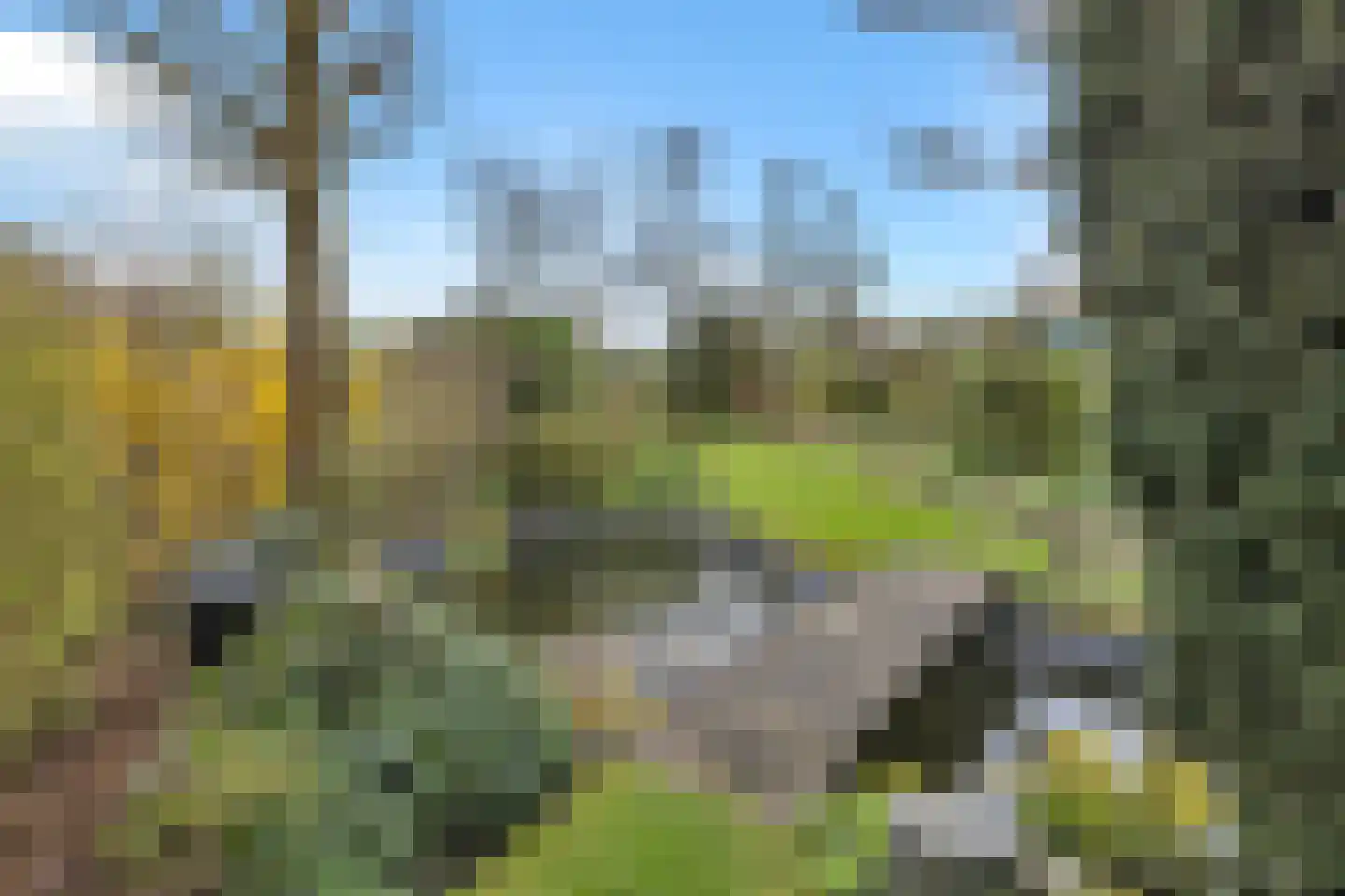 Grotewallerweg 22 Schagen thumbnail 43