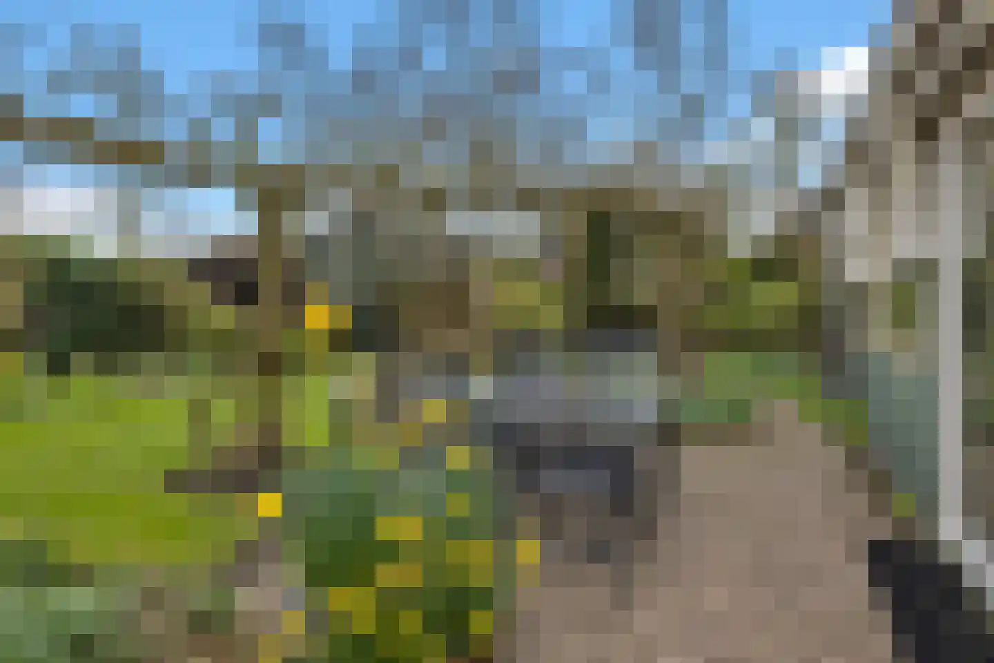 Grotewallerweg 22 Schagen thumbnail 44