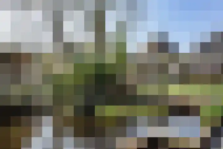 Grotewallerweg 28 Schagen thumbnail 22