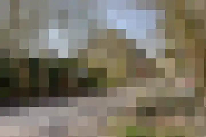 Grotewallerweg 28 Schagen thumbnail 27
