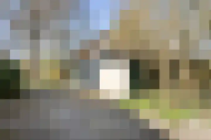 Grotewallerweg 28 Schagen thumbnail 28