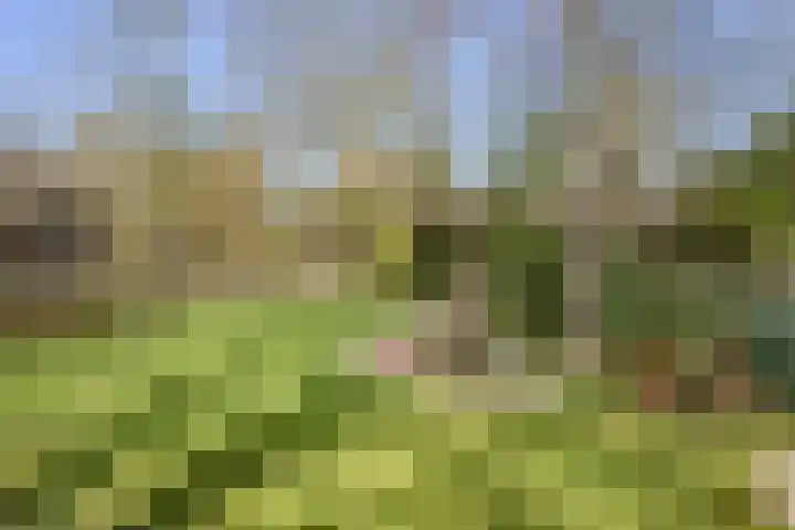 Grotewallerweg 28 Schagen thumbnail 29