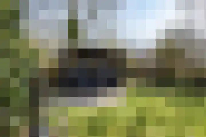 Grotewallerweg 28 Schagen thumbnail 33