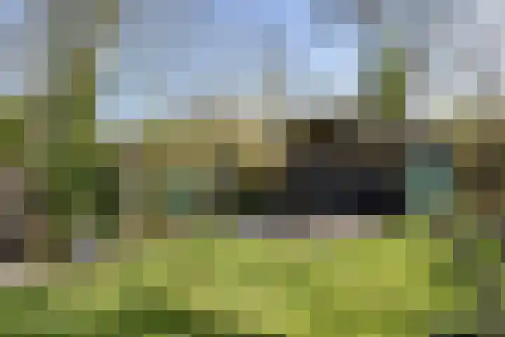 Grotewallerweg 28 Schagen thumbnail 34