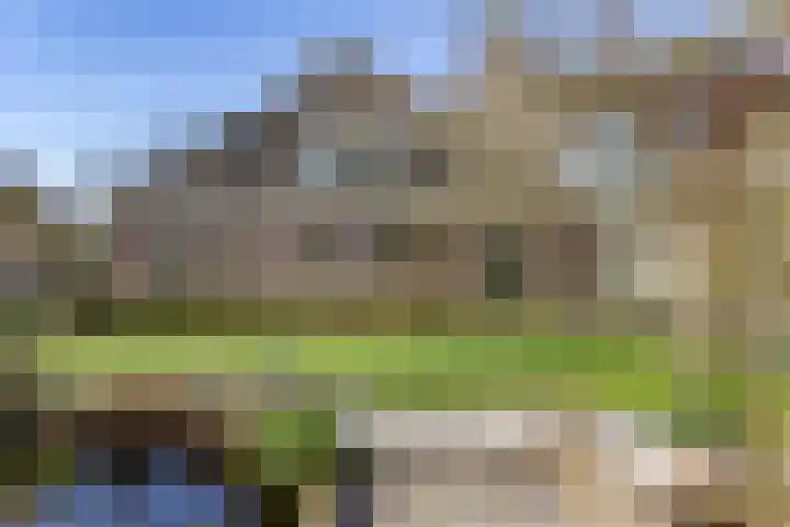 Grotewallerweg 28 Schagen thumbnail 37