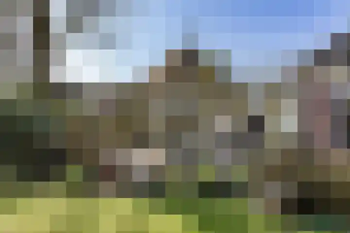 Grotewallerweg 28 Schagen thumbnail 4