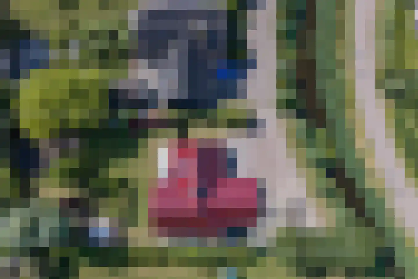 Grotewallerweg 43 Schagen thumbnail 4