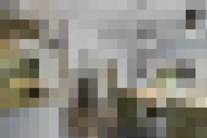 Groteweg 12 Wapenveld thumbnail 10