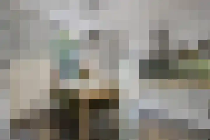 Groteweg 12 Wapenveld thumbnail 11