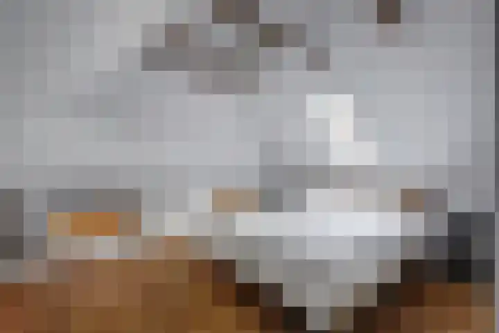 Groteweg 12 Wapenveld thumbnail 15
