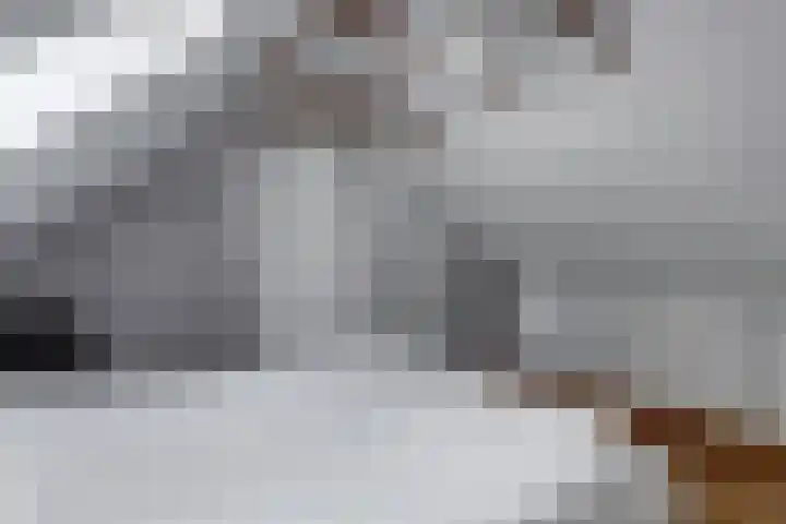 Groteweg 12 Wapenveld thumbnail 16
