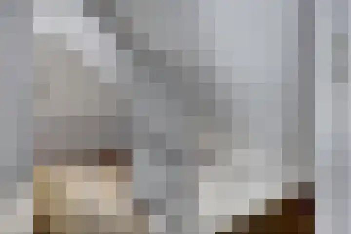 Groteweg 12 Wapenveld thumbnail 17