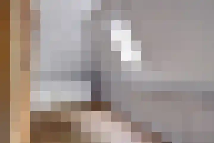 Groteweg 12 Wapenveld thumbnail 19