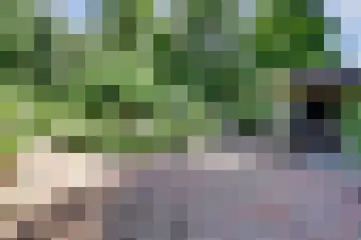 Groteweg 12 Wapenveld thumbnail 20