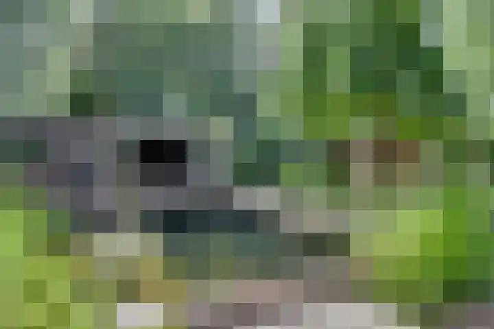 Groteweg 12 Wapenveld thumbnail 21
