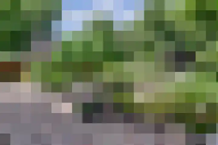 Groteweg 12 Wapenveld thumbnail 22
