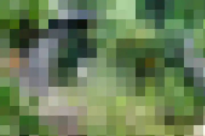 Groteweg 12 Wapenveld thumbnail 23