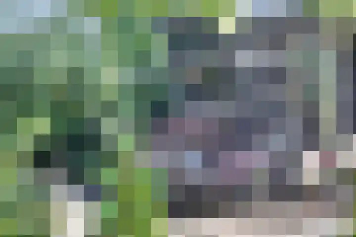 Groteweg 12 Wapenveld thumbnail 24