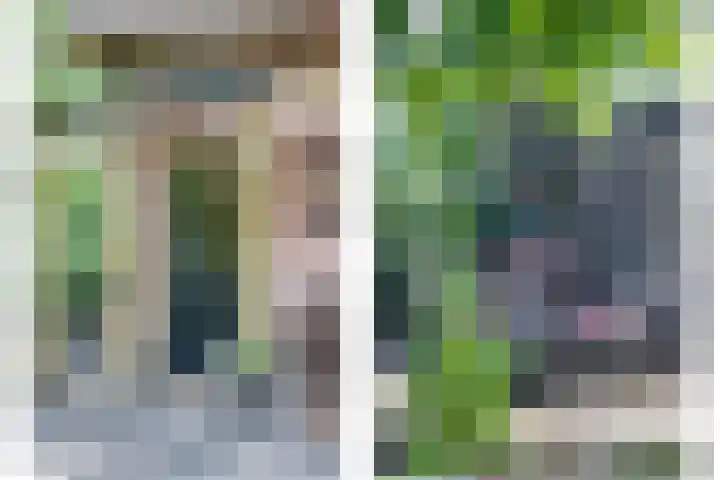 Groteweg 12 Wapenveld thumbnail 25