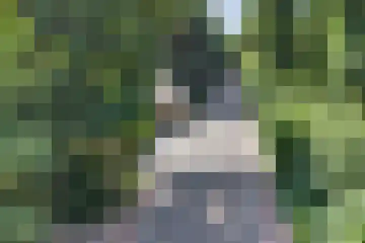 Groteweg 12 Wapenveld thumbnail 28