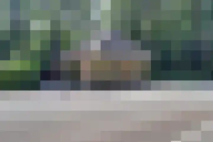 Groteweg 12 Wapenveld thumbnail 29