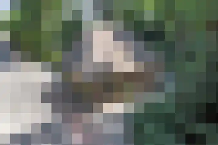Groteweg 12 Wapenveld thumbnail 31