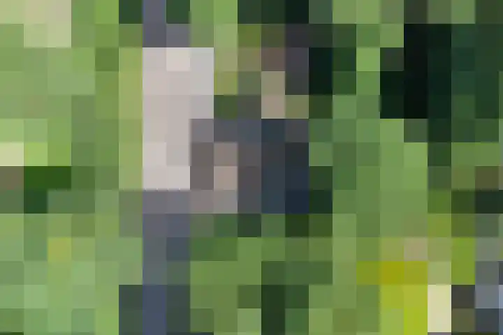 Groteweg 12 Wapenveld thumbnail 32