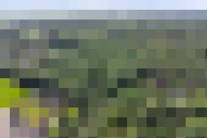 Groteweg 12 Wapenveld thumbnail 34