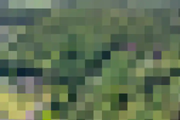 Groteweg 12 Wapenveld thumbnail 35