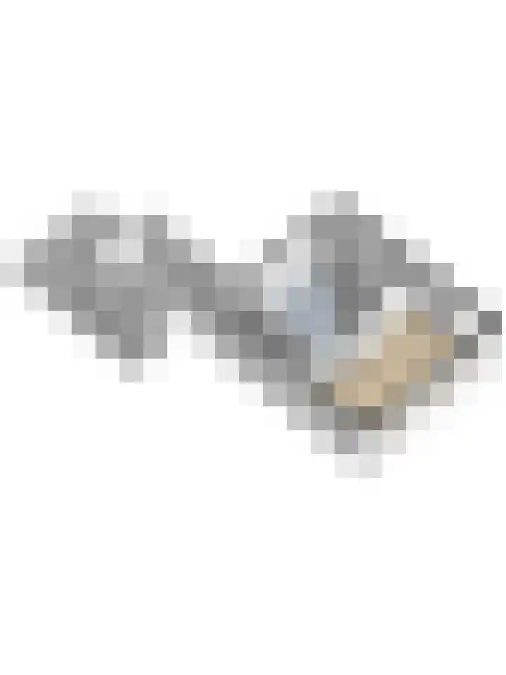 Groteweg 12 Wapenveld thumbnail 37