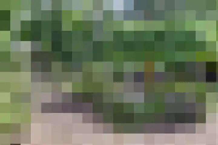 Groteweg 12 Wapenveld thumbnail 5