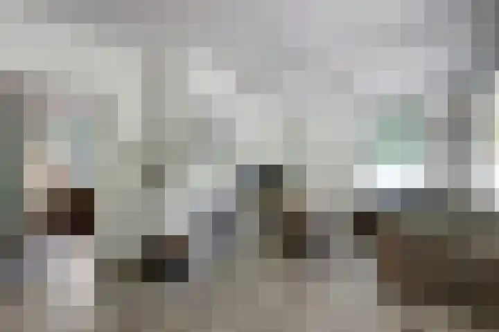 Groteweg 12 Wapenveld thumbnail 7