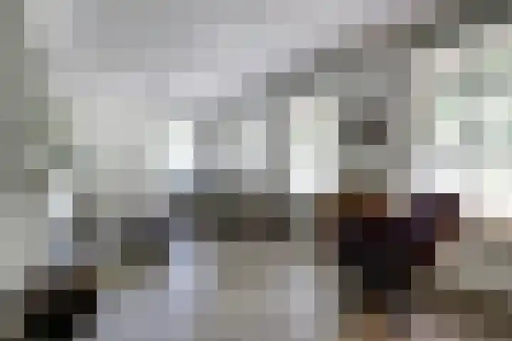 Groteweg 12 Wapenveld thumbnail 9
