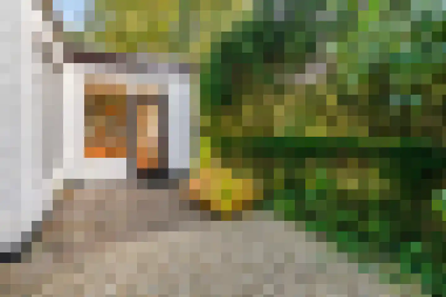 Groteweg 37 Wapenveld thumbnail 12