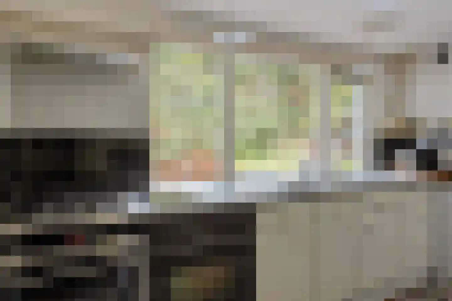 Groteweg 37 Wapenveld thumbnail 14