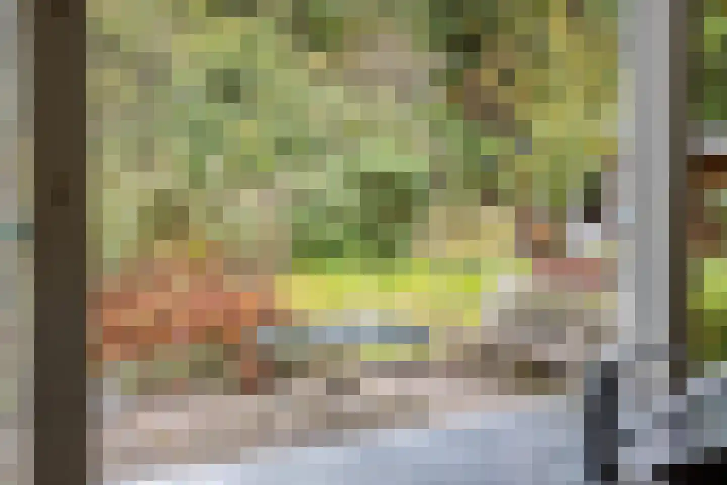 Groteweg 37 Wapenveld thumbnail 15