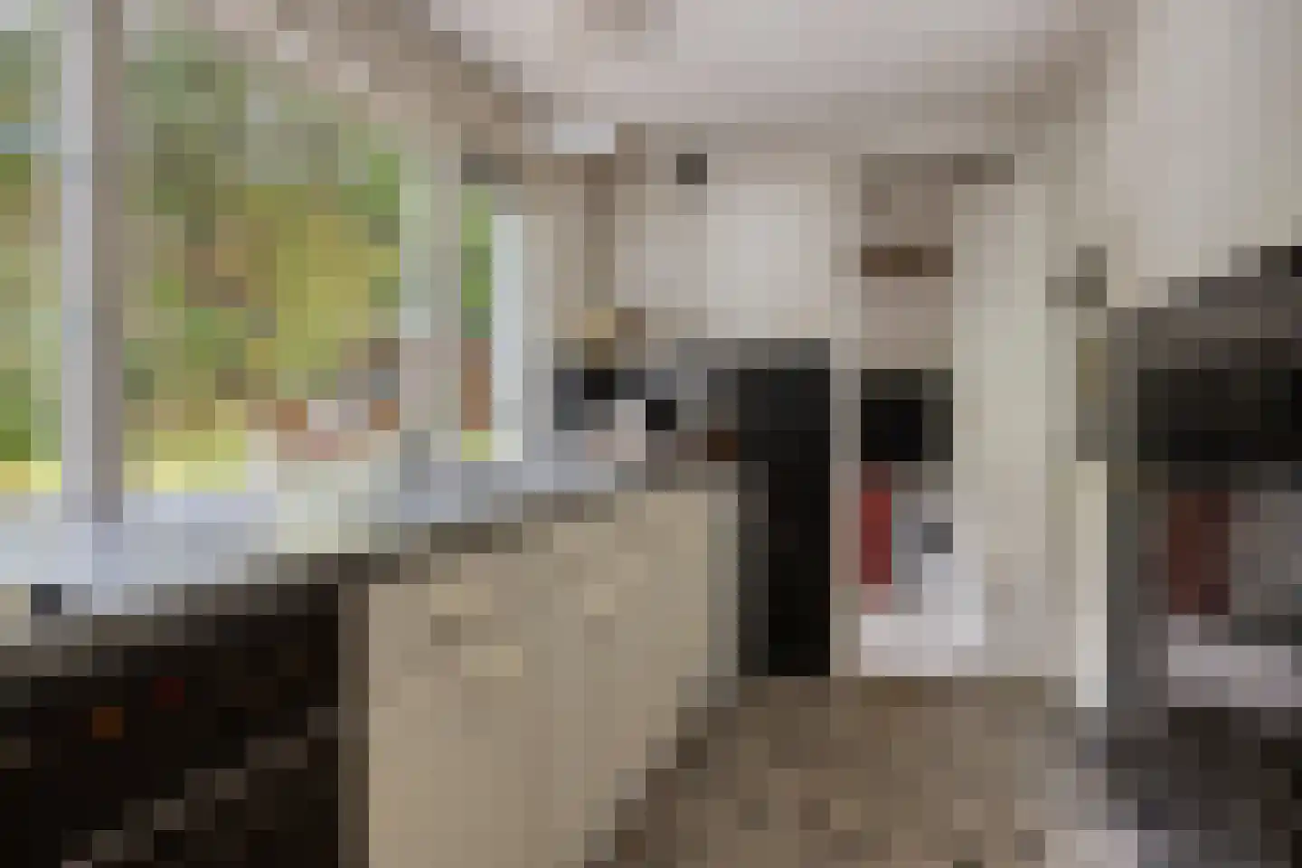 Groteweg 37 Wapenveld thumbnail 17